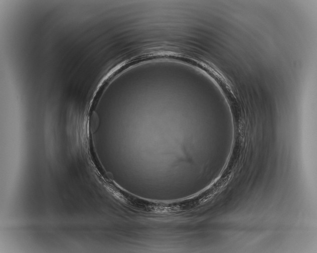 X0000116550790200912171348