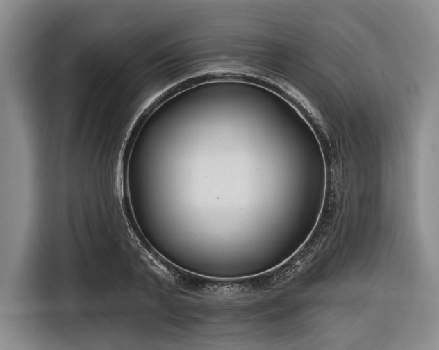 X0000116550791200912171348