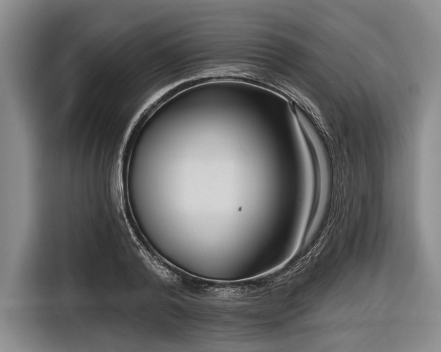 X0000116550792200912171348