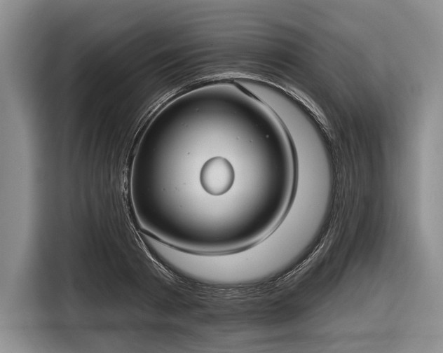 X0000116550793200912171348