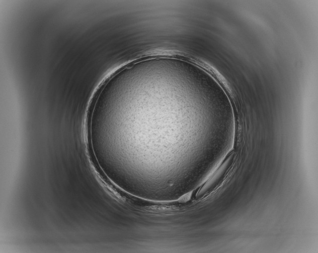 X0000116550795200912171348