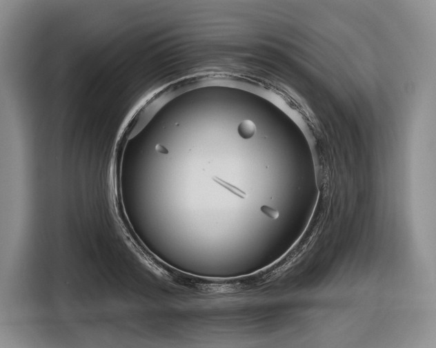 X0000116550796200912171348