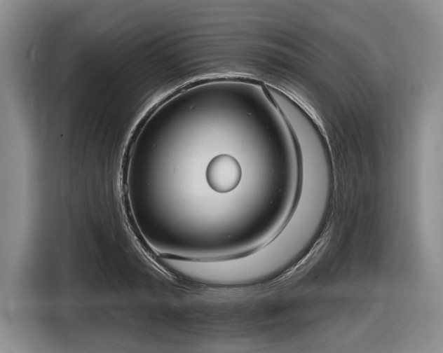 X0000116550797200912171348