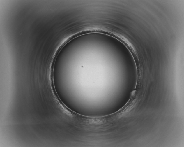 X0000116550799200912171348