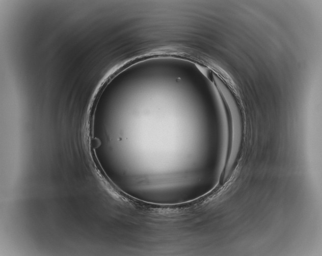 X0000116550800200912171348