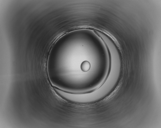 X0000116550801200912171348