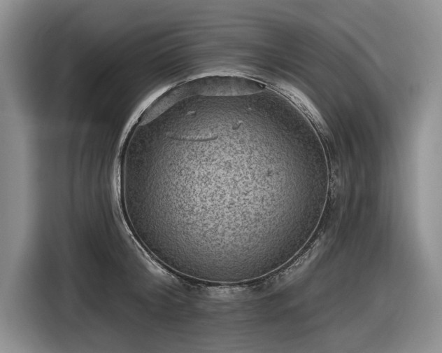 X0000116550804200912171348