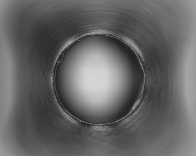 X0000116550805200912171348