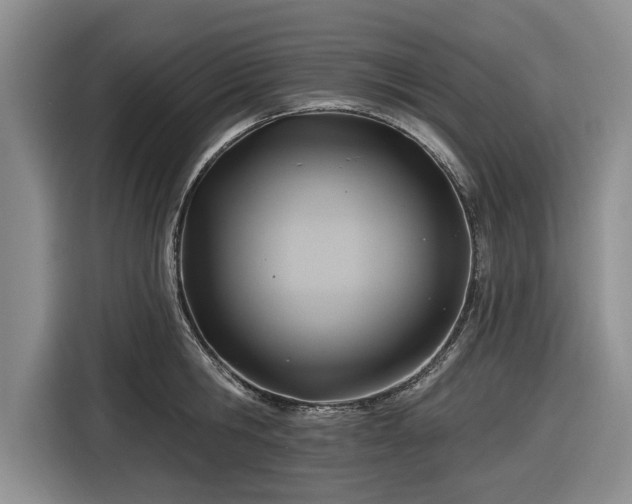 X0000116550806200912171348