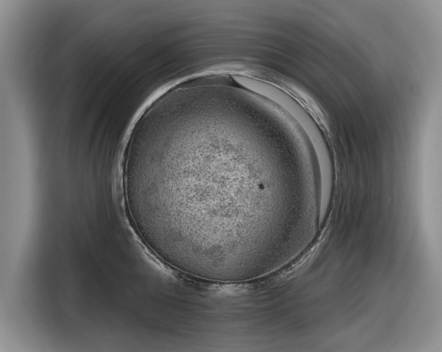 X0000116550808200912171348