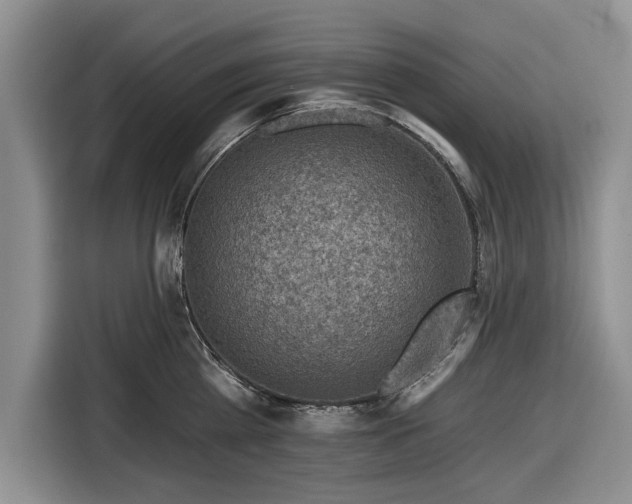 X0000116550809200912171348