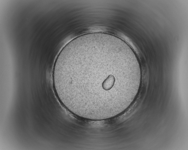 X0000116550810200912171348