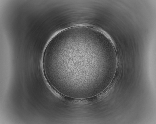 X0000116550811200912171348