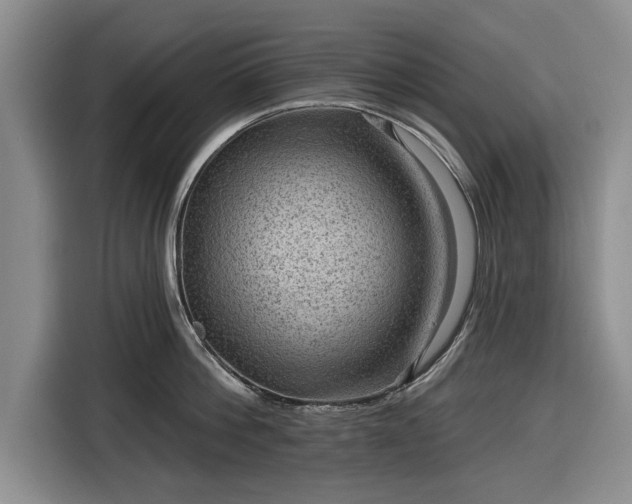 X0000116550812200912171348