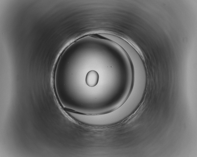 X0000116550813200912171348