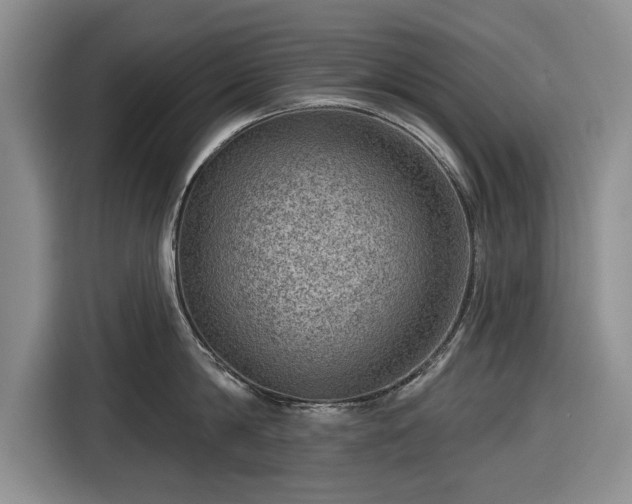 X0000116550814200912171348