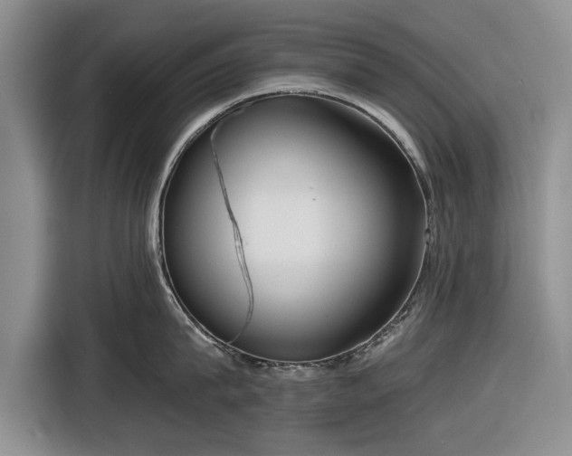 X0000116550815200912171348