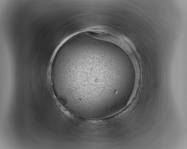 X0000116550816200912171348