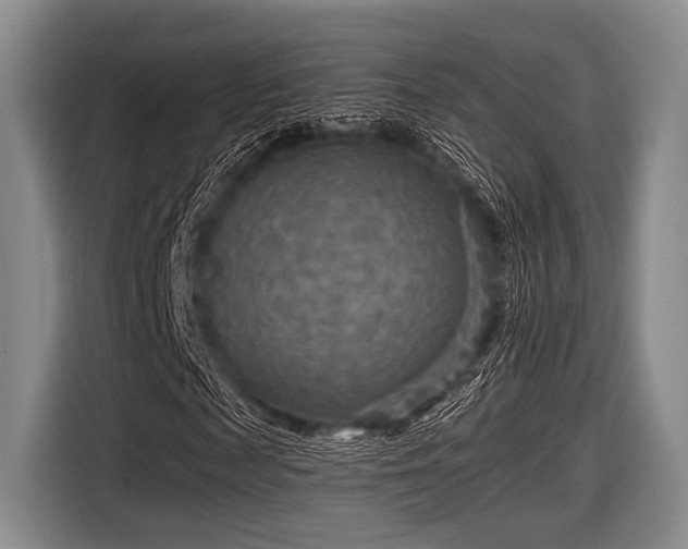 X0000116550817200912171347