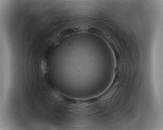 X0000116550818200912171347