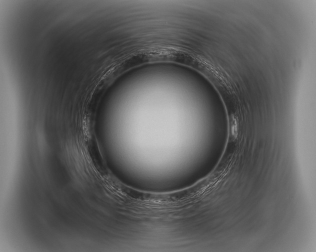 X0000116550819200912171347