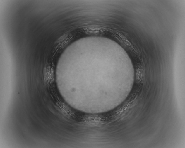 X0000116550820200912171347