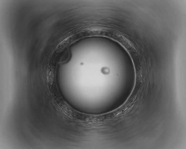 X0000116550821200912171347