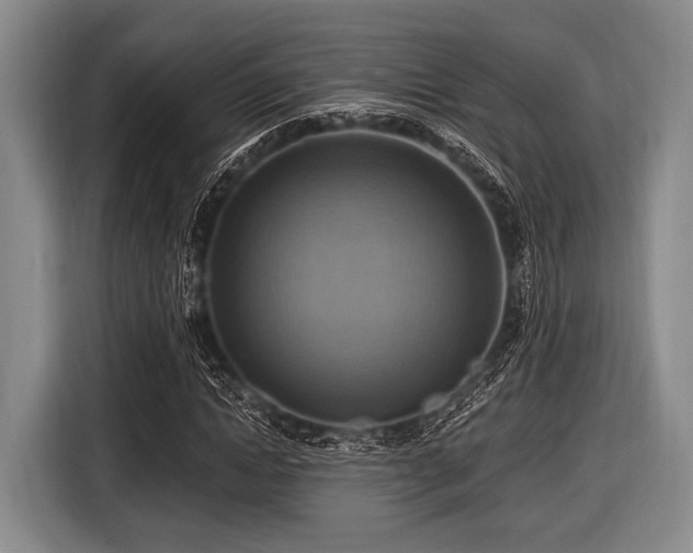 X0000116550822200912171347