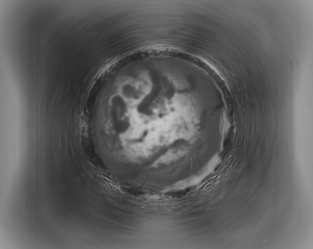 X0000116550823200912171347