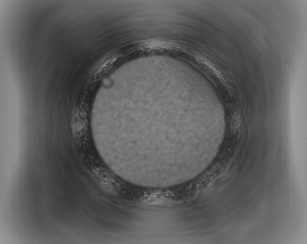 X0000116550824200912171347