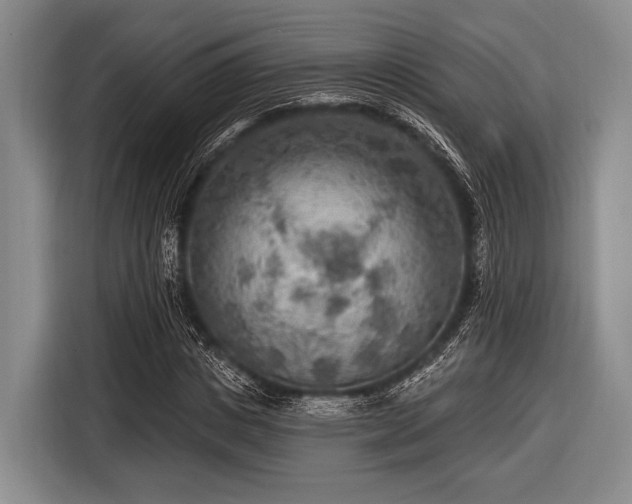 X0000116550825200912171347