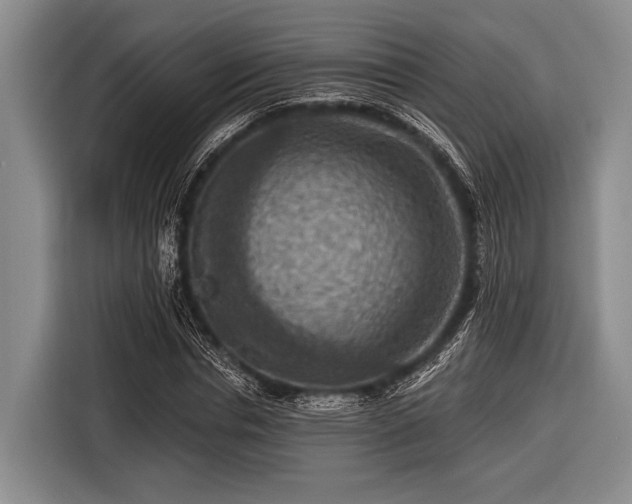 X0000116550826200912171347