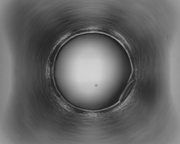 X0000116550827200912171347