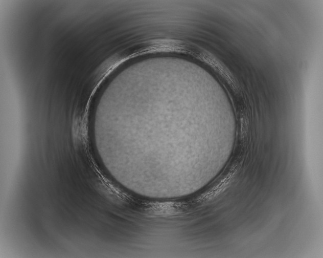 X0000116550828200912171347