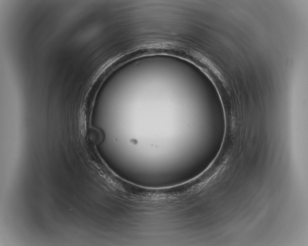 X0000116550829200912171347