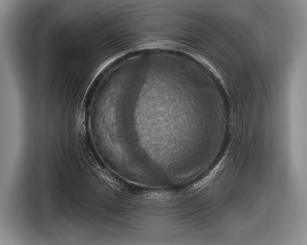 X0000116550830200912171347