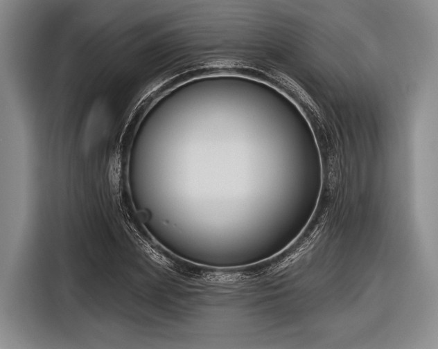 X0000116550831200912171347