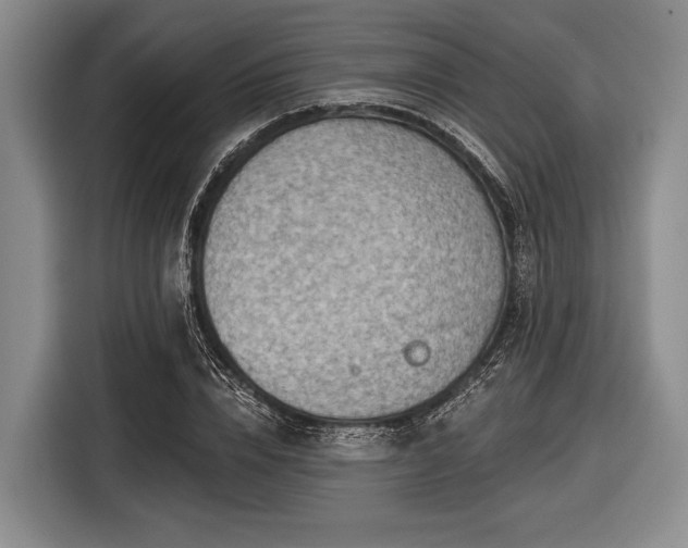 X0000116550832200912171347