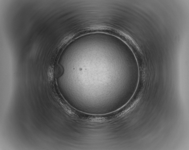 X0000116550833200912171347