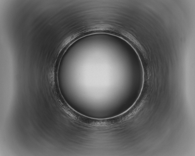 X0000116550834200912171347