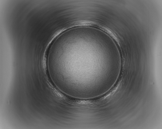 X0000116550835200912171347