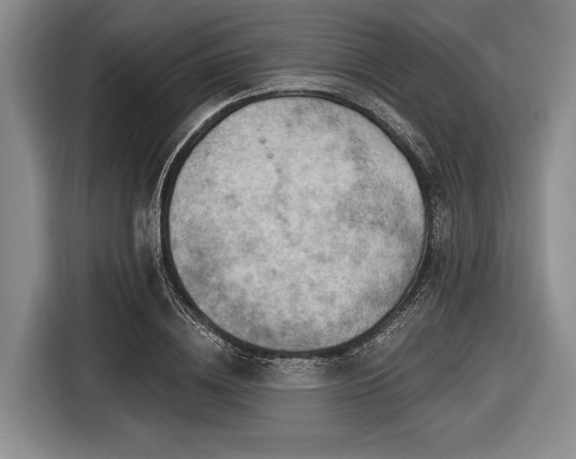 X0000116550836200912171347