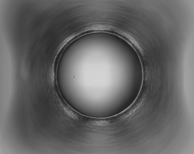 X0000116550837200912171347