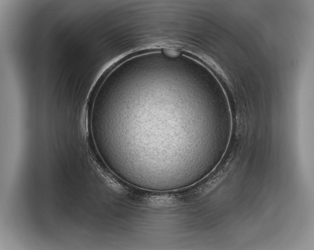 X0000116550838200912171347