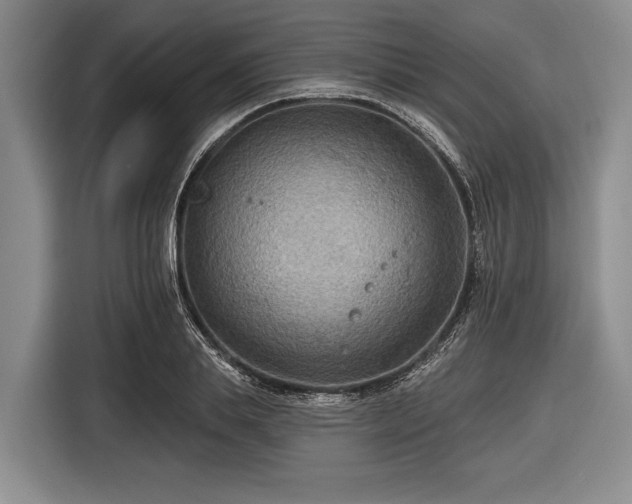 X0000116550839200912171347