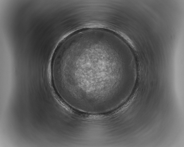 X0000116550840200912171347