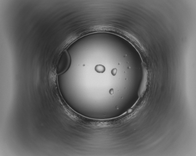 X0000116550841200912171347