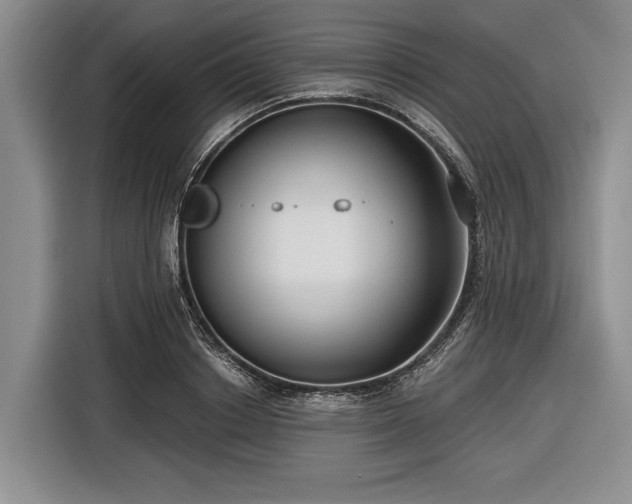 X0000116550842200912171347