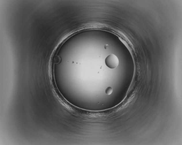 X0000116550843200912171347