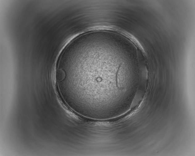 X0000116550844200912171347